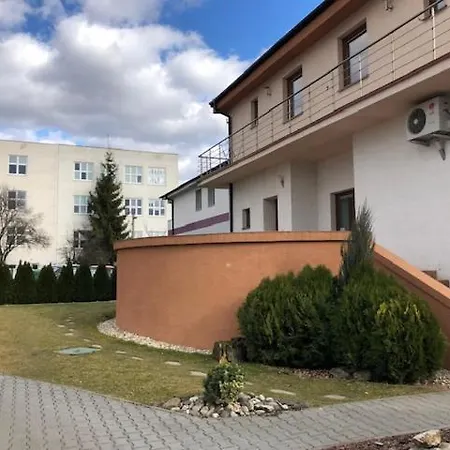 Matko Levice